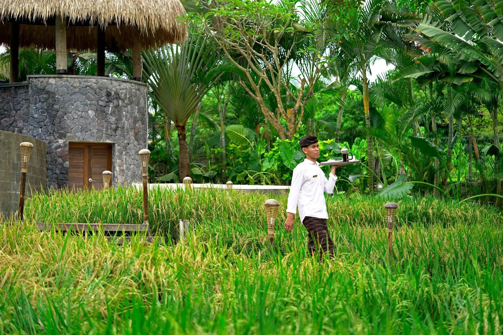 Lalasa Villas Canggu Exterior foto